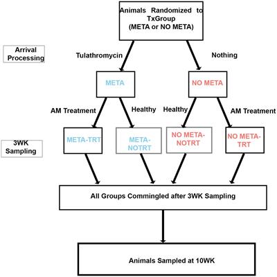 Tulathromycin metaphylaxis increases nasopharyngeal isolation of multidrug resistant Mannheimia haemolytica in stocker heifers